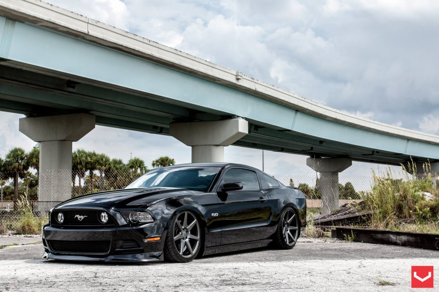 Ford Mustang �� ������ CV7