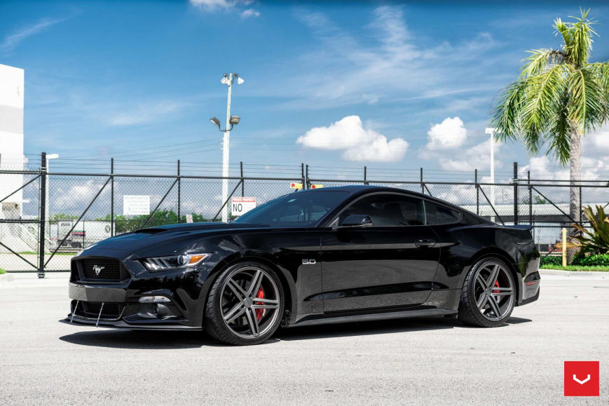 Ford Mustang �� ������ CV5