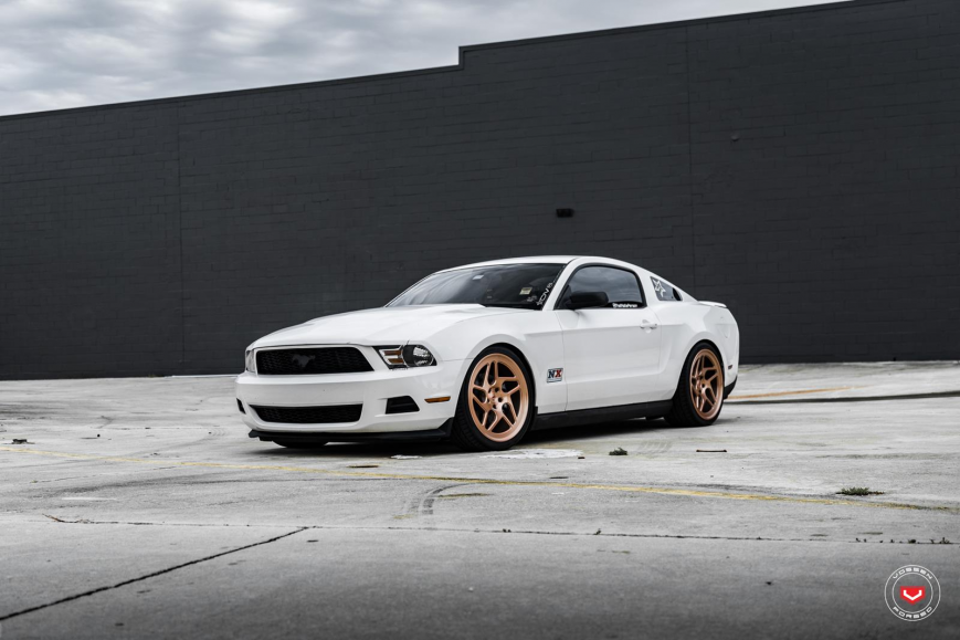 Ford Mustang �� ������ LC104T