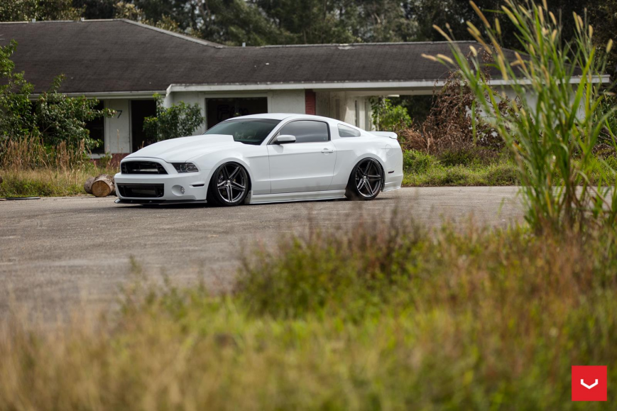 Ford Mustang �� ������ VFS5