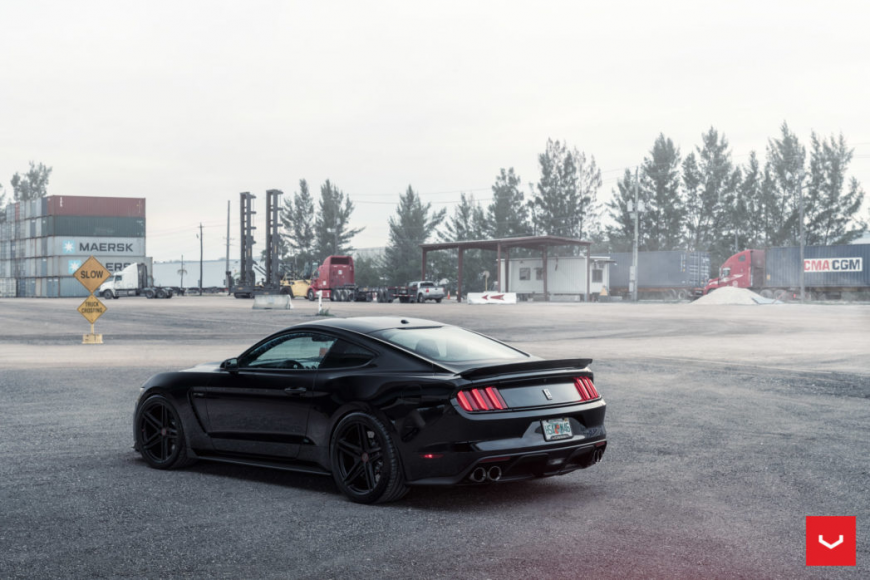Ford Mustang �� ������ VFS5