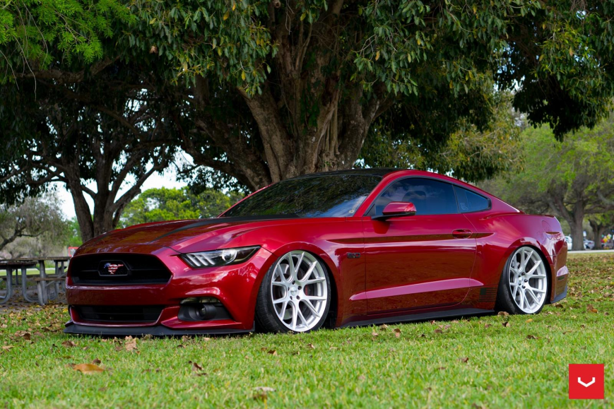 Ford Mustang �� ������ VFS6