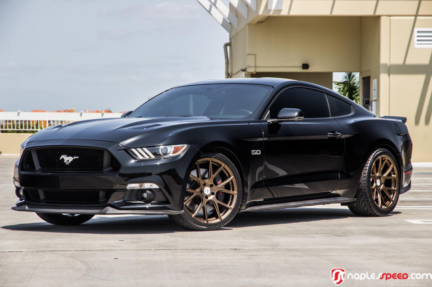 Ford Mustang �� ������ VFS6
