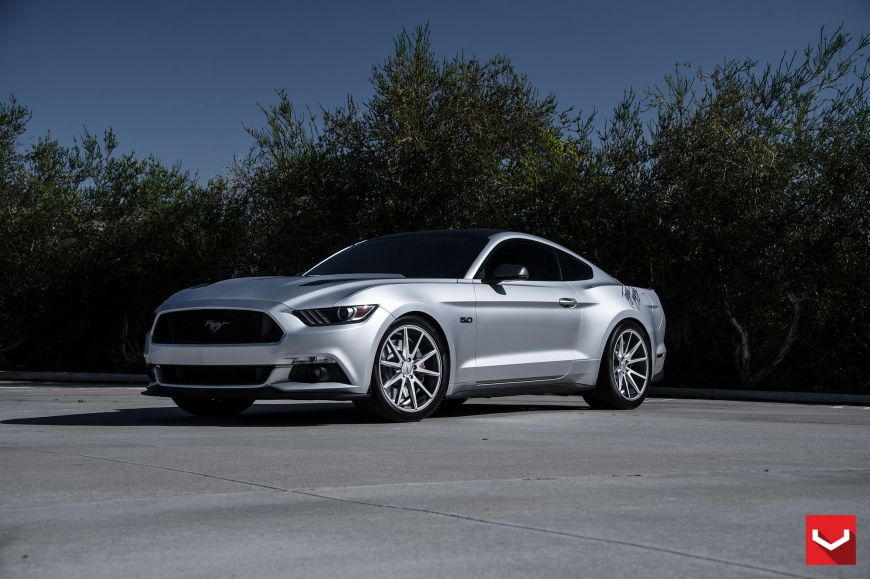 Ford Mustang �� ������ VFS1