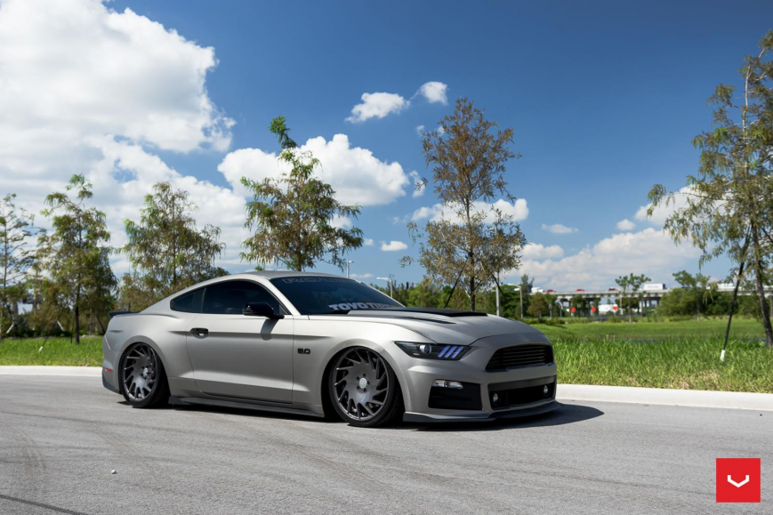 Ford Mustang �� ������ VLE1