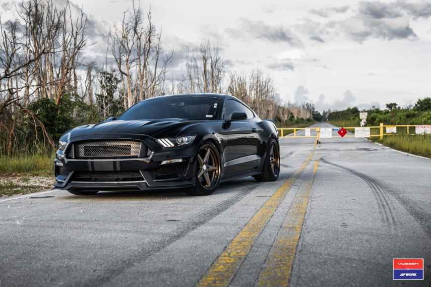 Ford Mustang �� ������ VWS3
