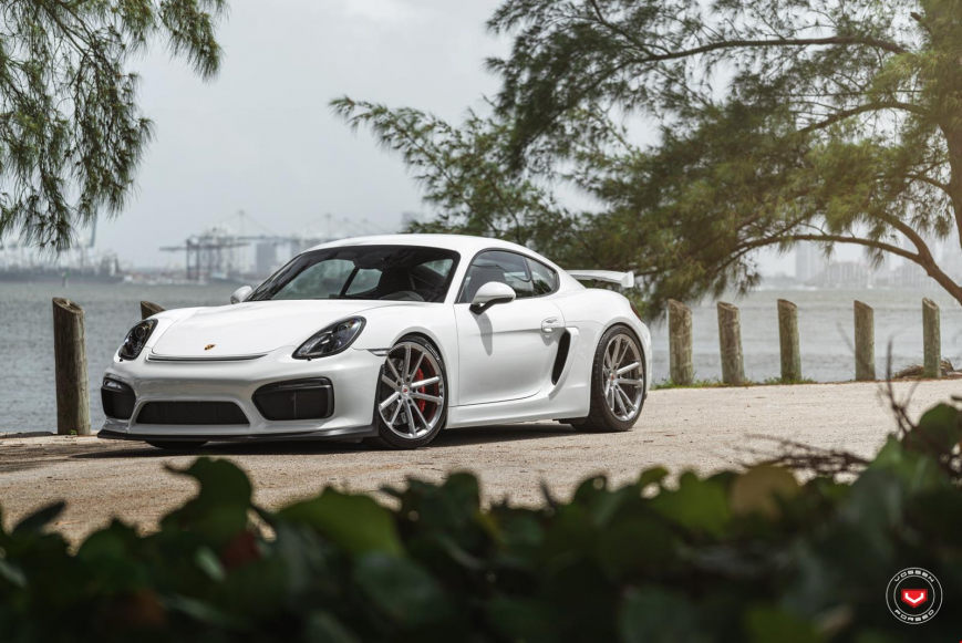 Porsche GT4 �� ������ CG203