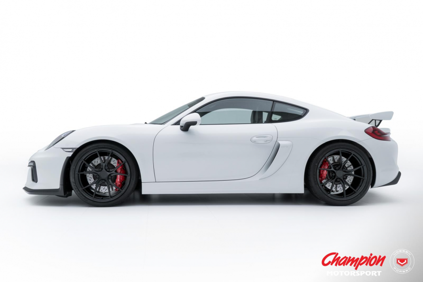 Porsche GT4 �� ������ 