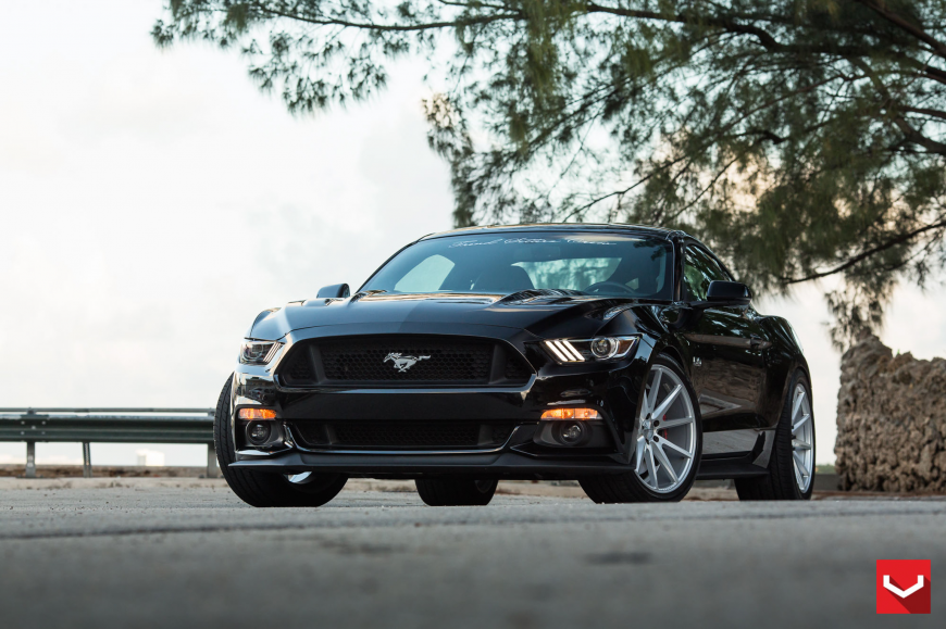 Ford Mustang �� ������ VFS1