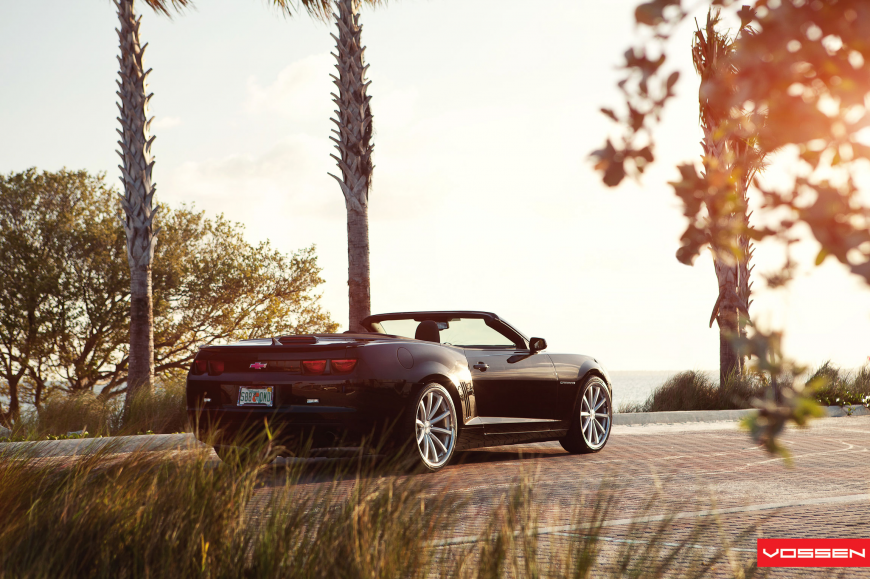 Chevrolet Camaro �� ������ VVSCV1