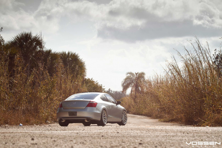 Honda Accord �� ������ VVSCV1