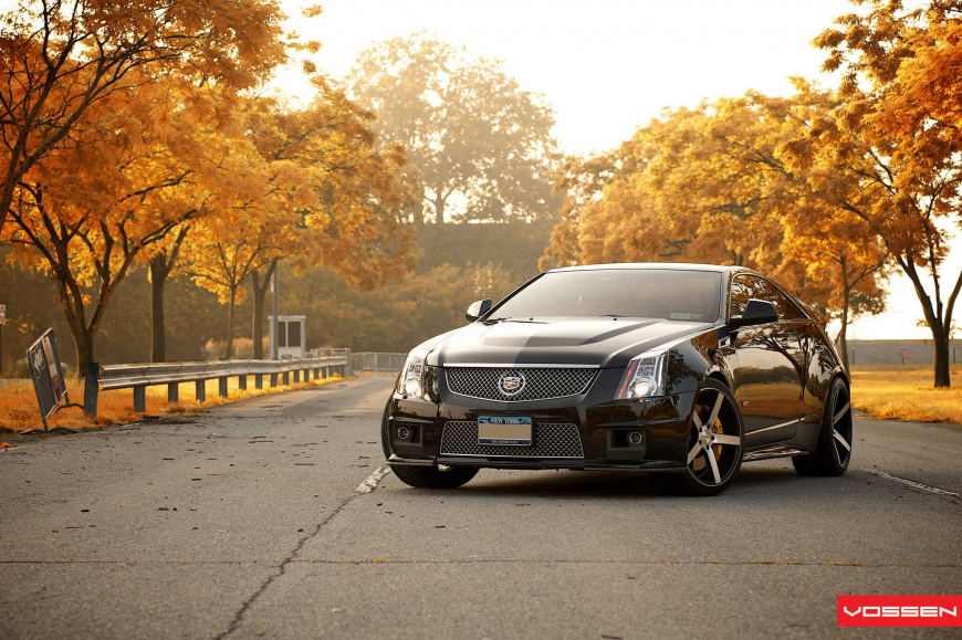 Cadillac CTS �� ������ VVSCV3