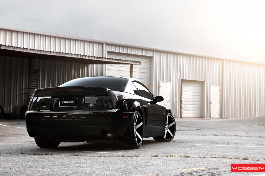 Ford Mustang �� ������ VVSCV3