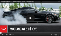 Ford Mustang GT | Black Stallion | Roush | Vossen CV5
